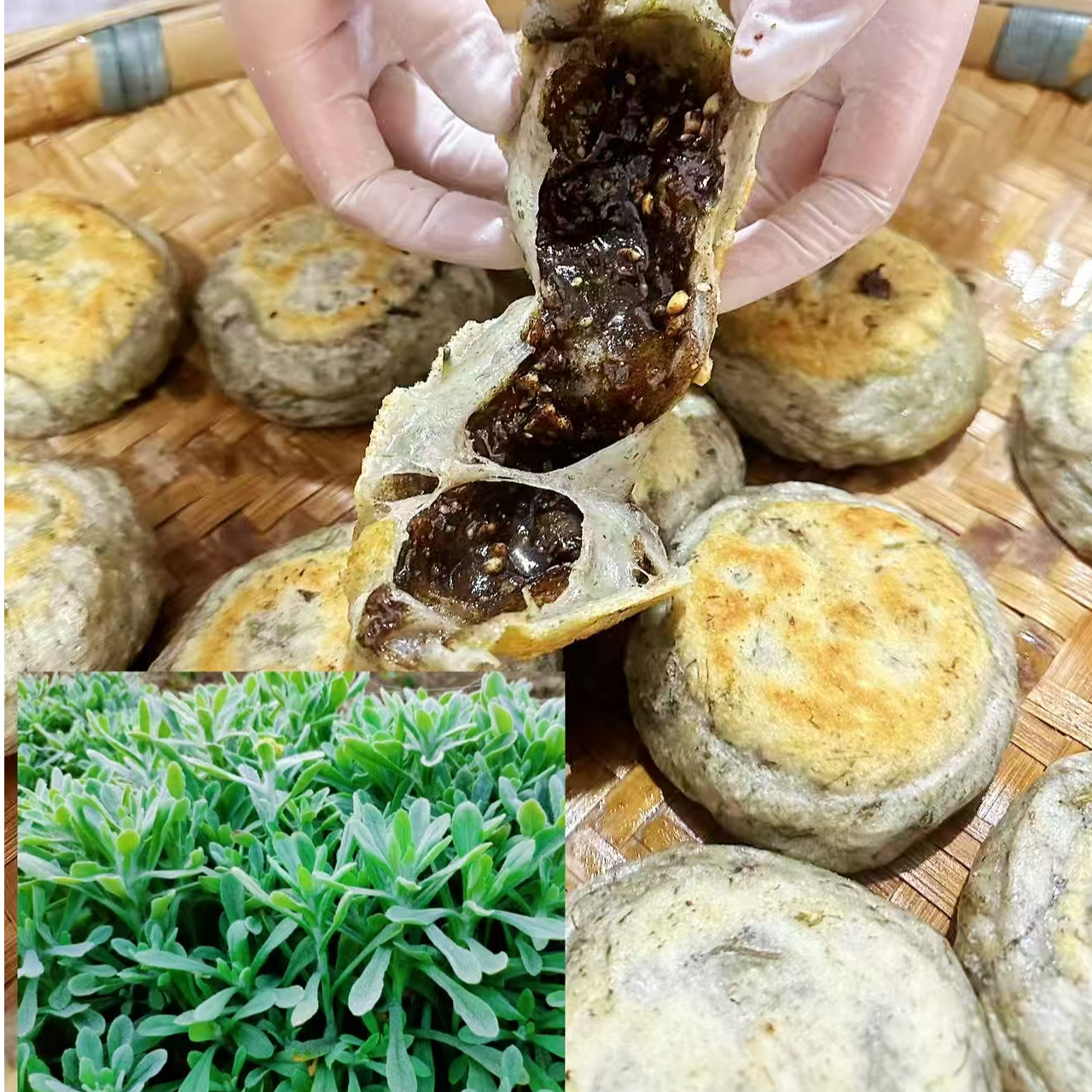 新鲜清明菜粑鼠曲草茅香粑毛毛花粑粑手工制作独立包装