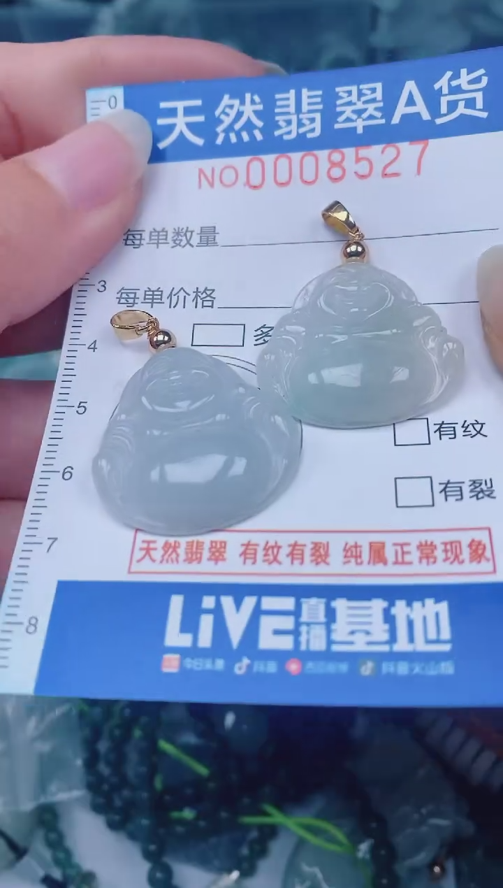 颈饰未镶嵌翡翠00008527