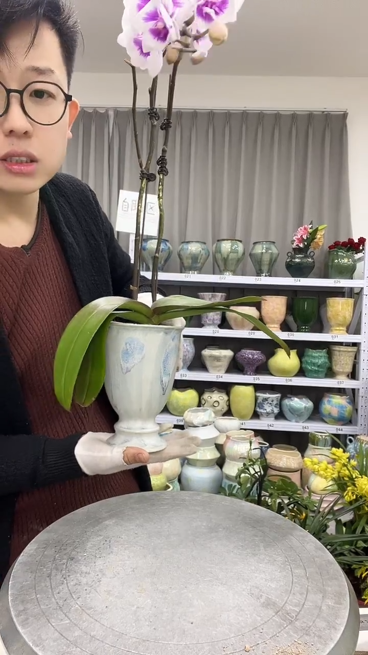 【12.8号】花盆链接 高：17 口：10.5