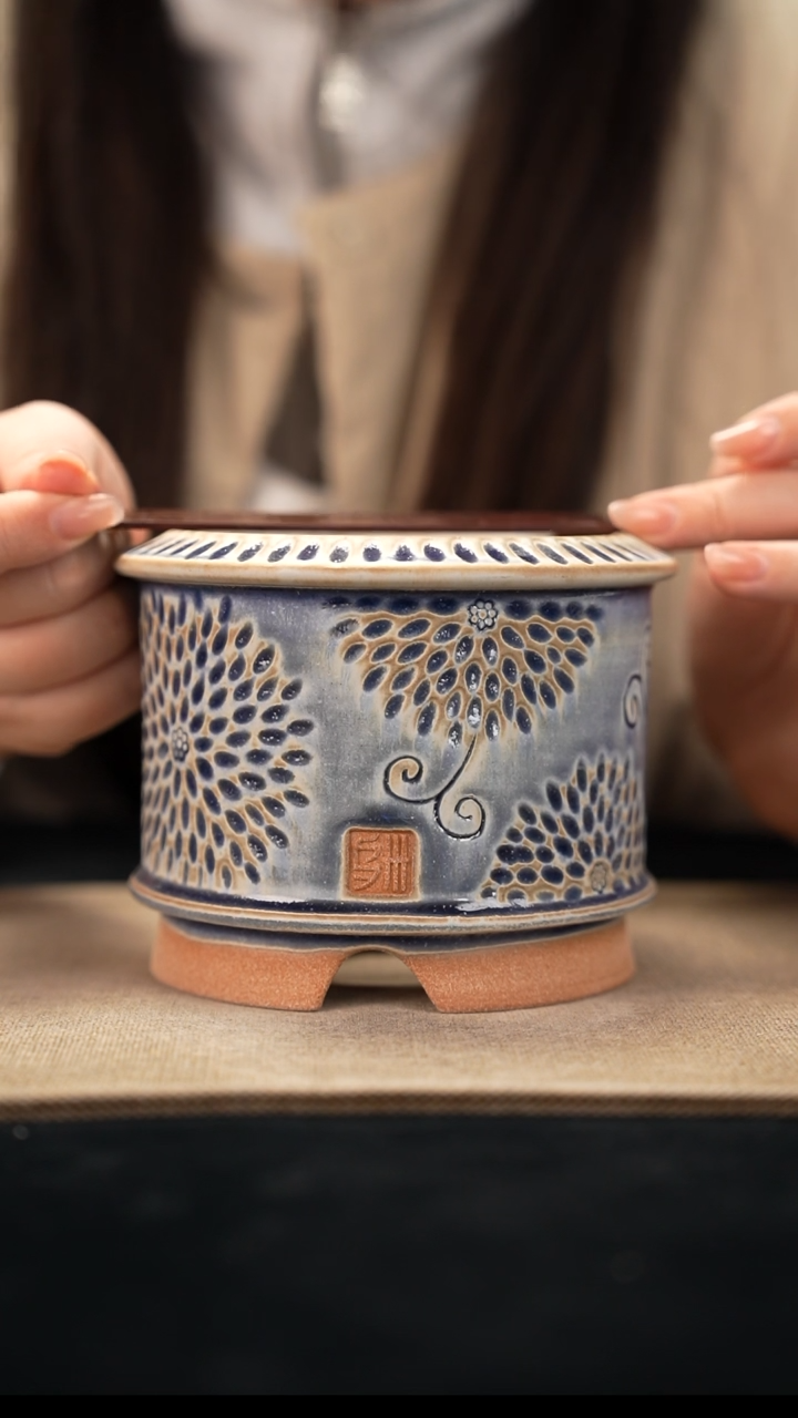 口径10花盆-11-24-384