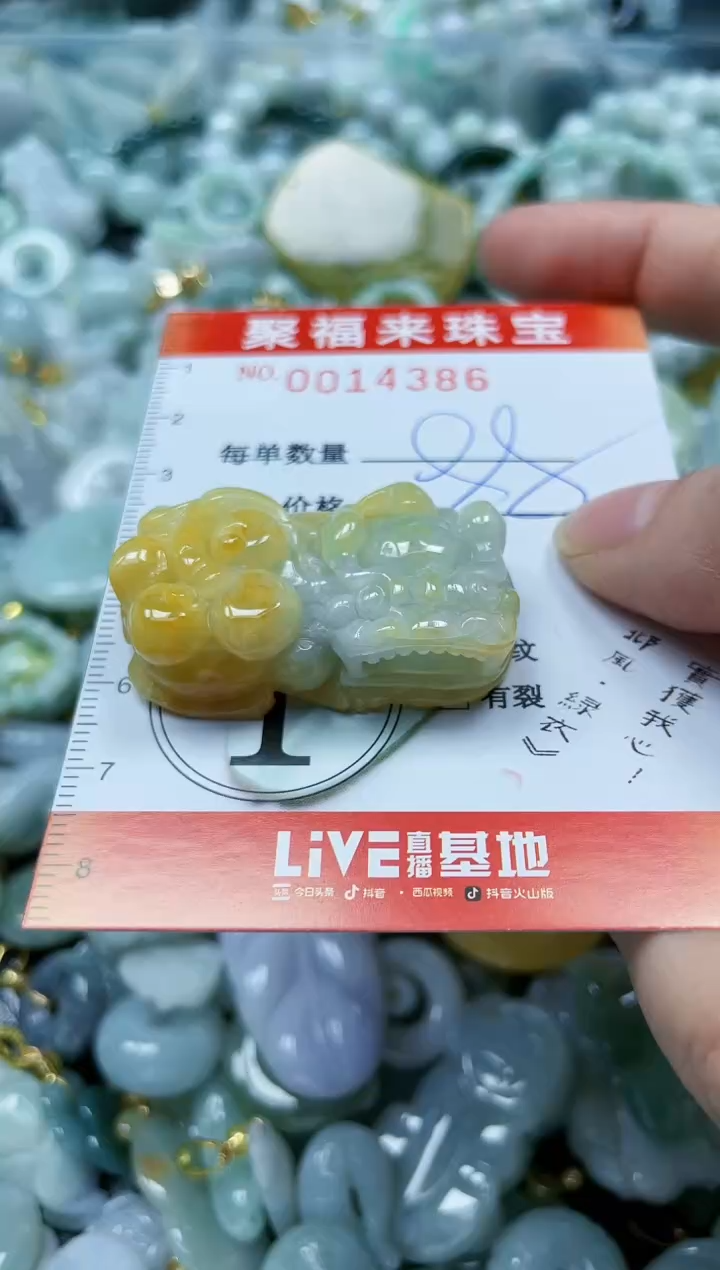 【闪购商品】翡翠颈饰未镶嵌闪购0014386