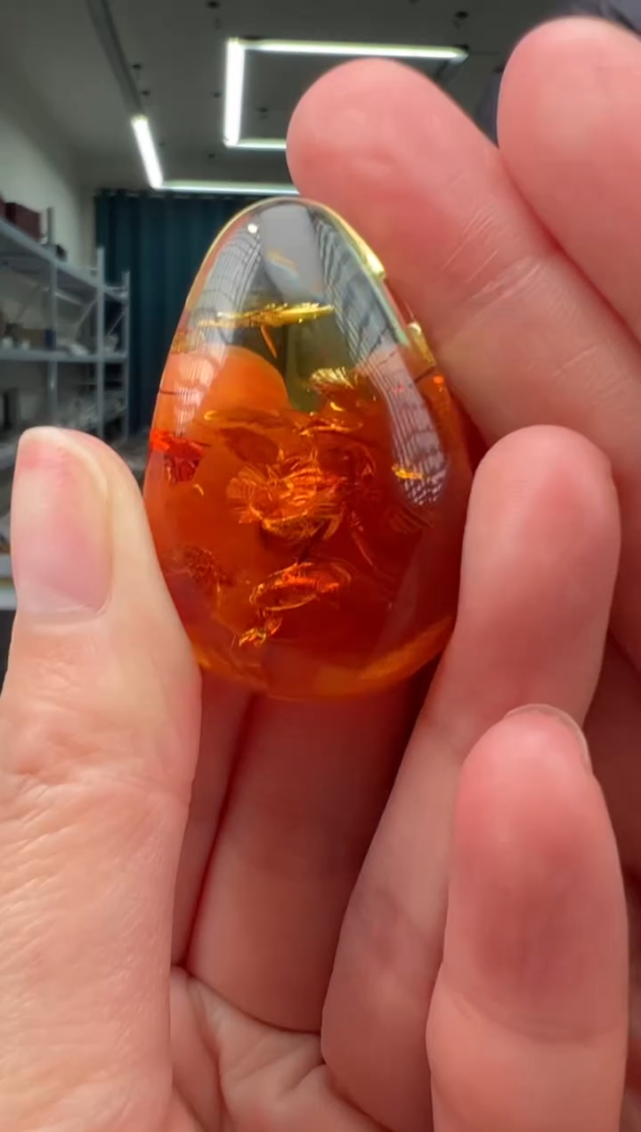 琥珀颈饰未镶嵌吊坠