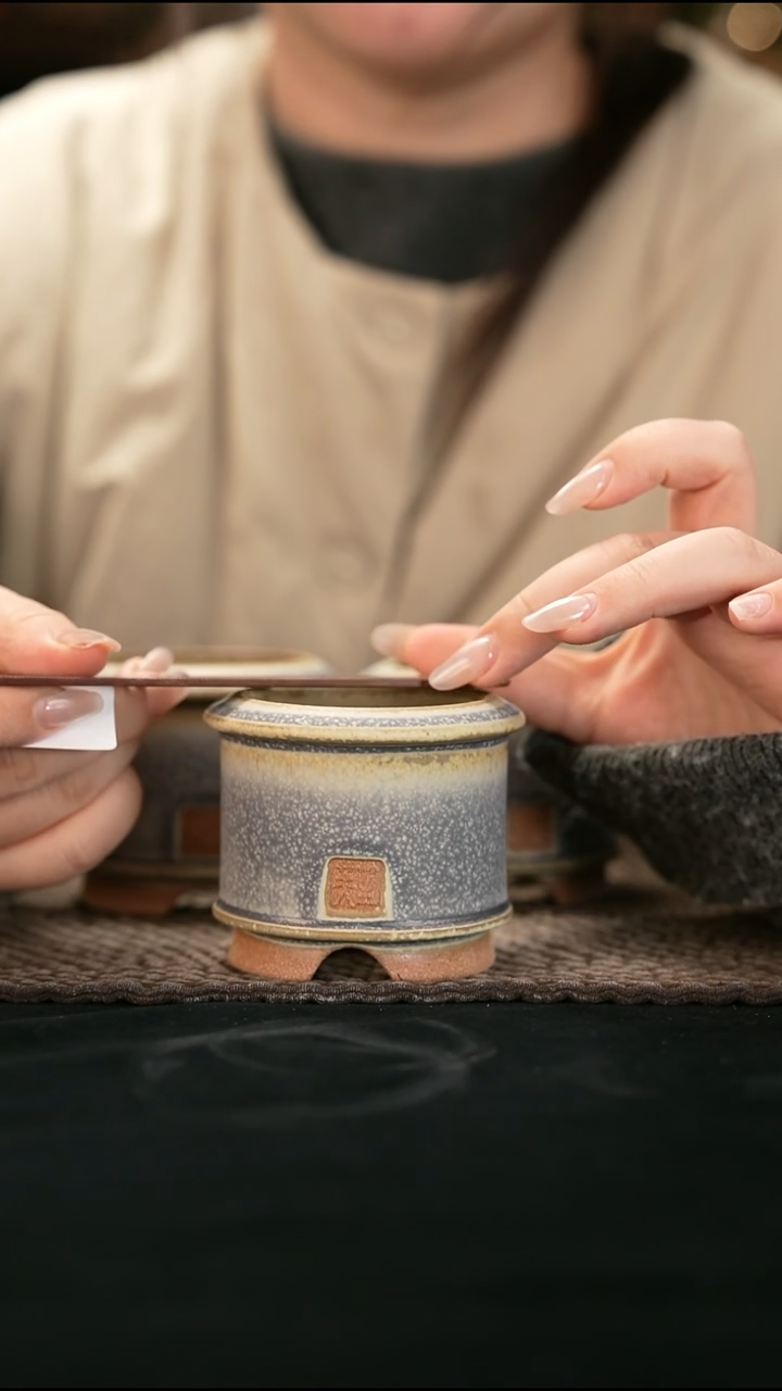 口径6花盆-12-25-378特默认有瑕