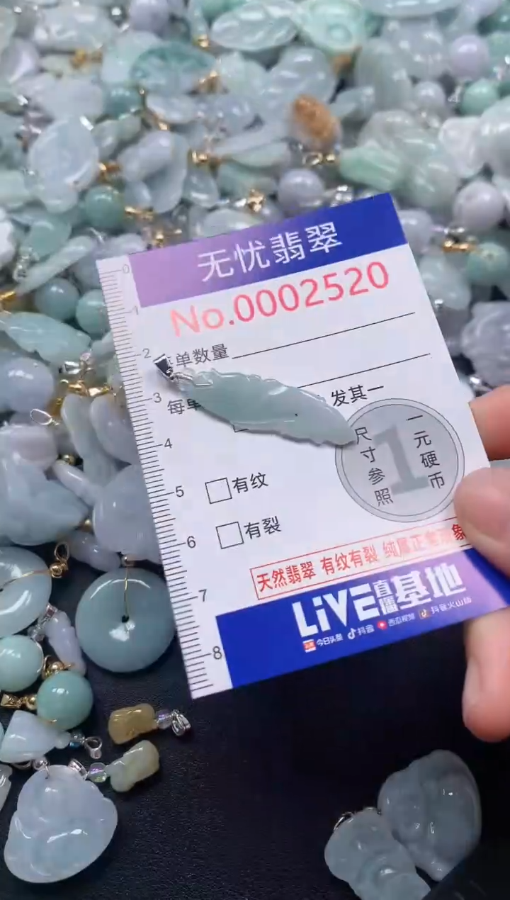 颈饰未镶嵌翡翠2520