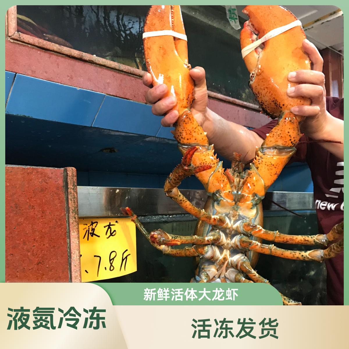 冷冻波士顿龙虾海鲜水产大龙虾波龙龙饱满虾顺丰包邮