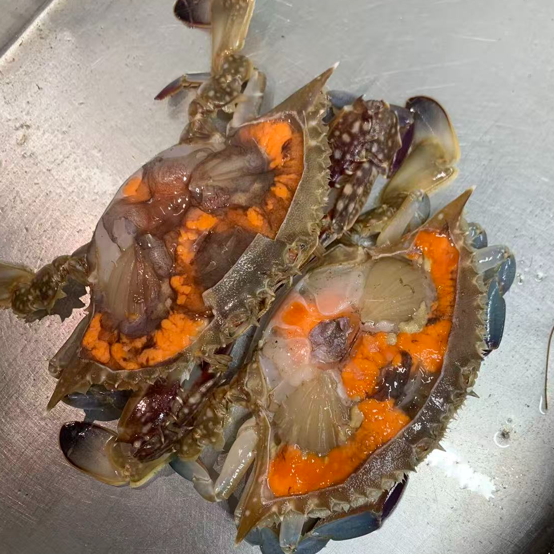 沈阳小时达 福利东港 三点红 小母飞蟹 3-4两 2斤138元  保鲜不保活