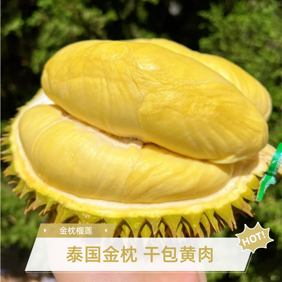 店庆多送半斤【纯肉】泰国【空运】1-2斤树熟金枕鲜榴莲核小肉厚【直播间现开】广州同城闪送榴莲同城配金枕泰国