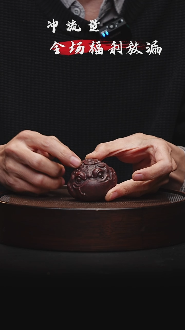 茶壶紫砂宜兴紫砂茶宠c8013