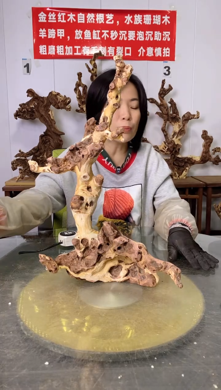 【闪购商品】木32金丝红木 羊蹄甲