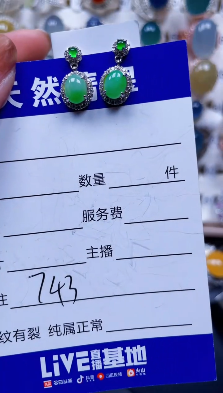 银S925镶嵌翡翠耳饰743