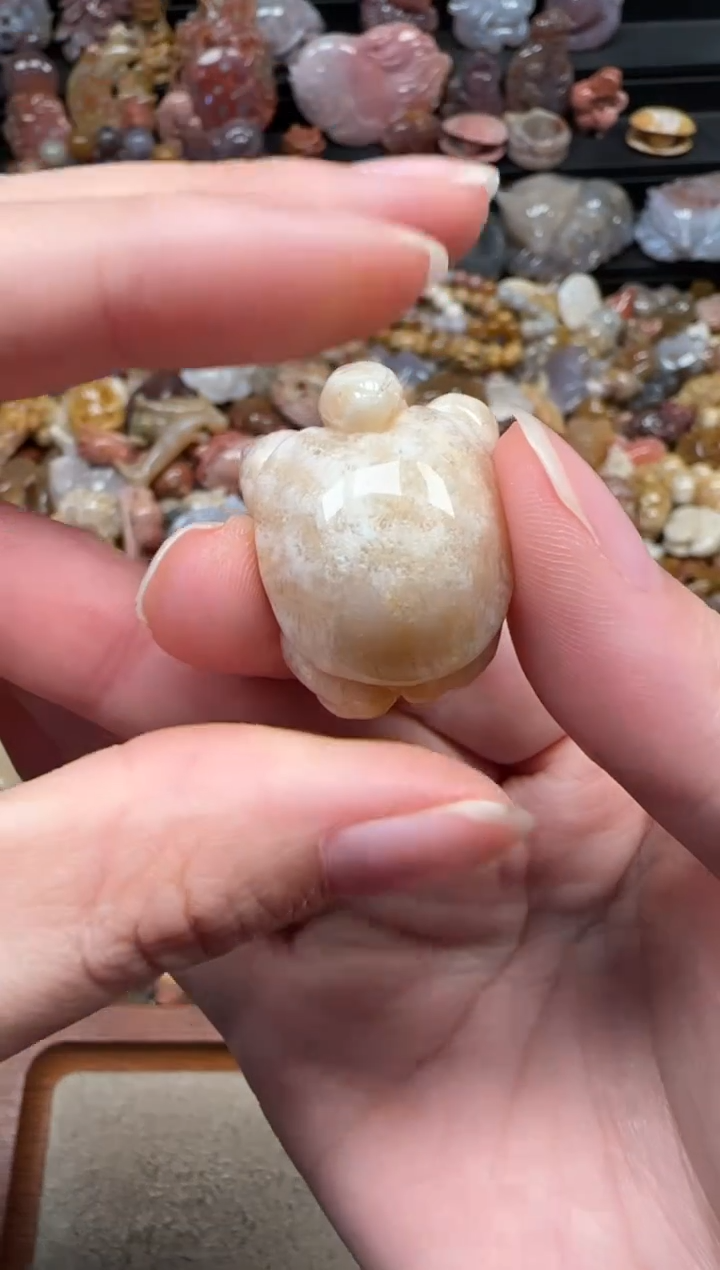 颈饰未镶嵌硅化珊瑚（珊瑚玉）032