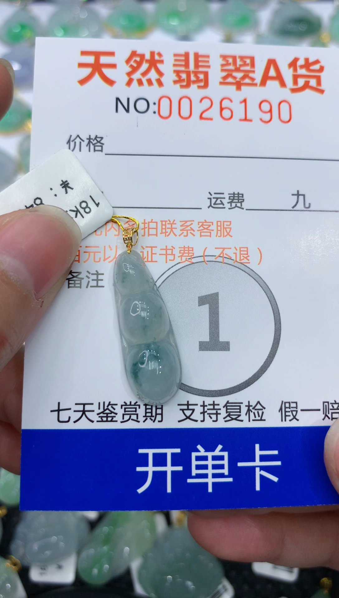 【闪购商品】翡翠颈饰18K金镶嵌111111111