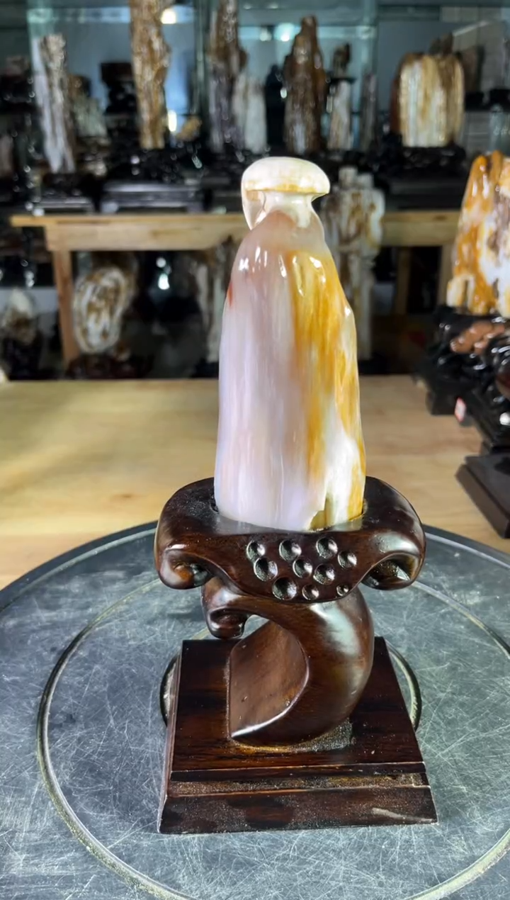 【闪购商品】硅化玉珠宝奇石未镶嵌1