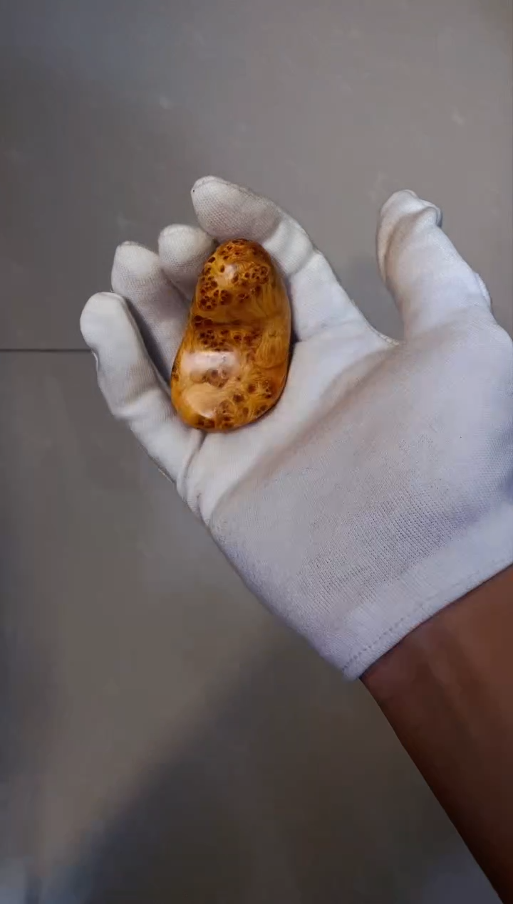 【闪购商品】柏木74崖柏崖柏崖柏