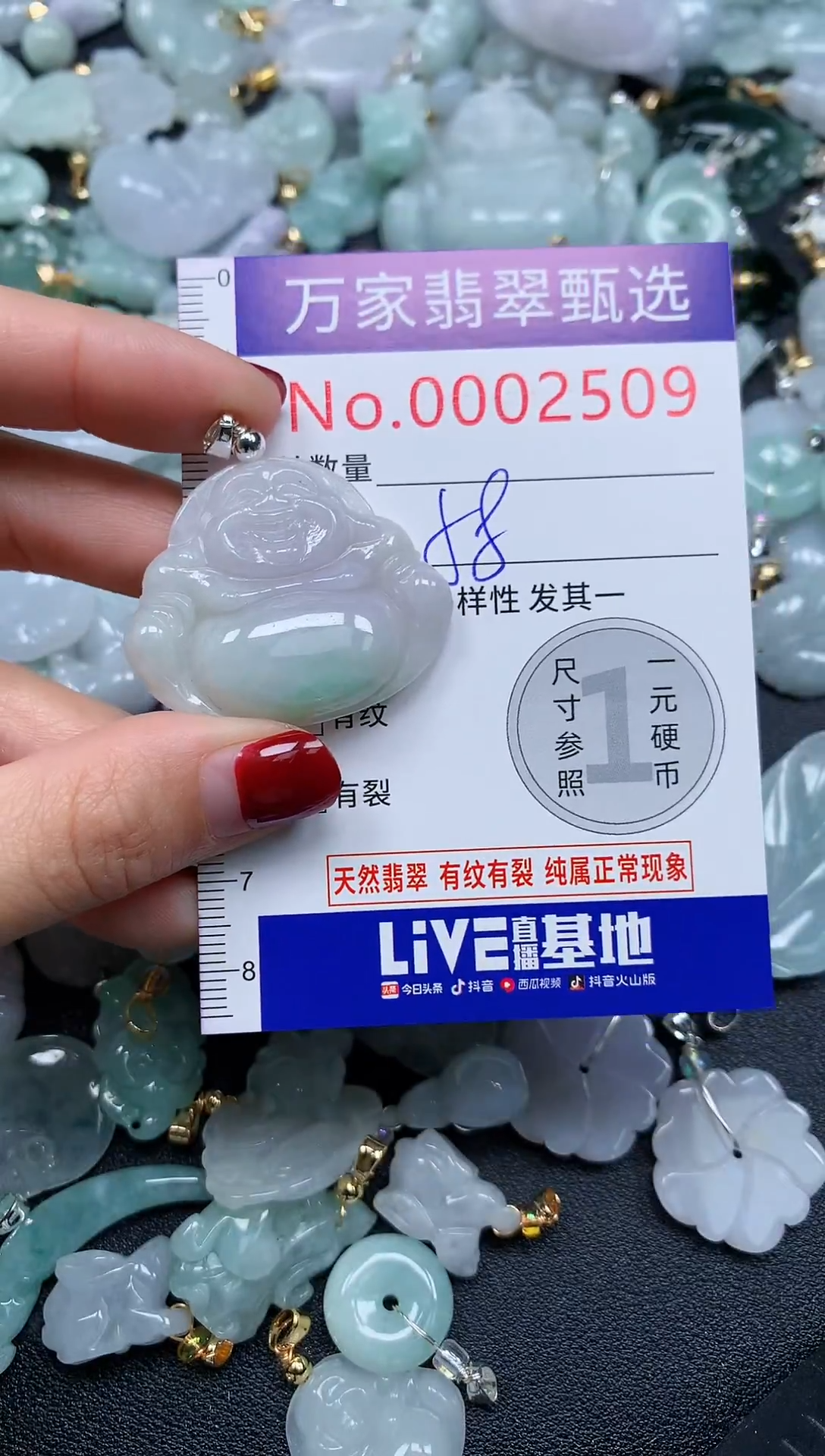 吊坠(不含链)未镶嵌翡翠2509