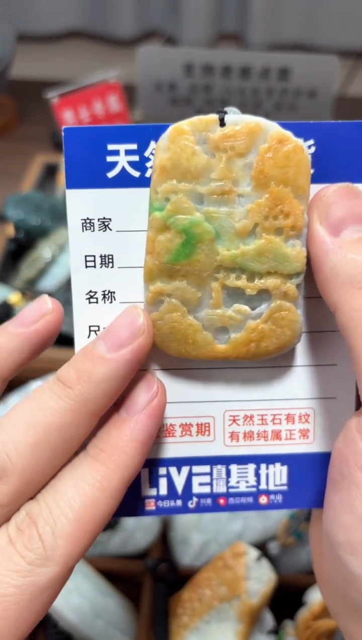 【闪购商品】翡翠颈饰未镶嵌翡翠 颈饰 未镶嵌