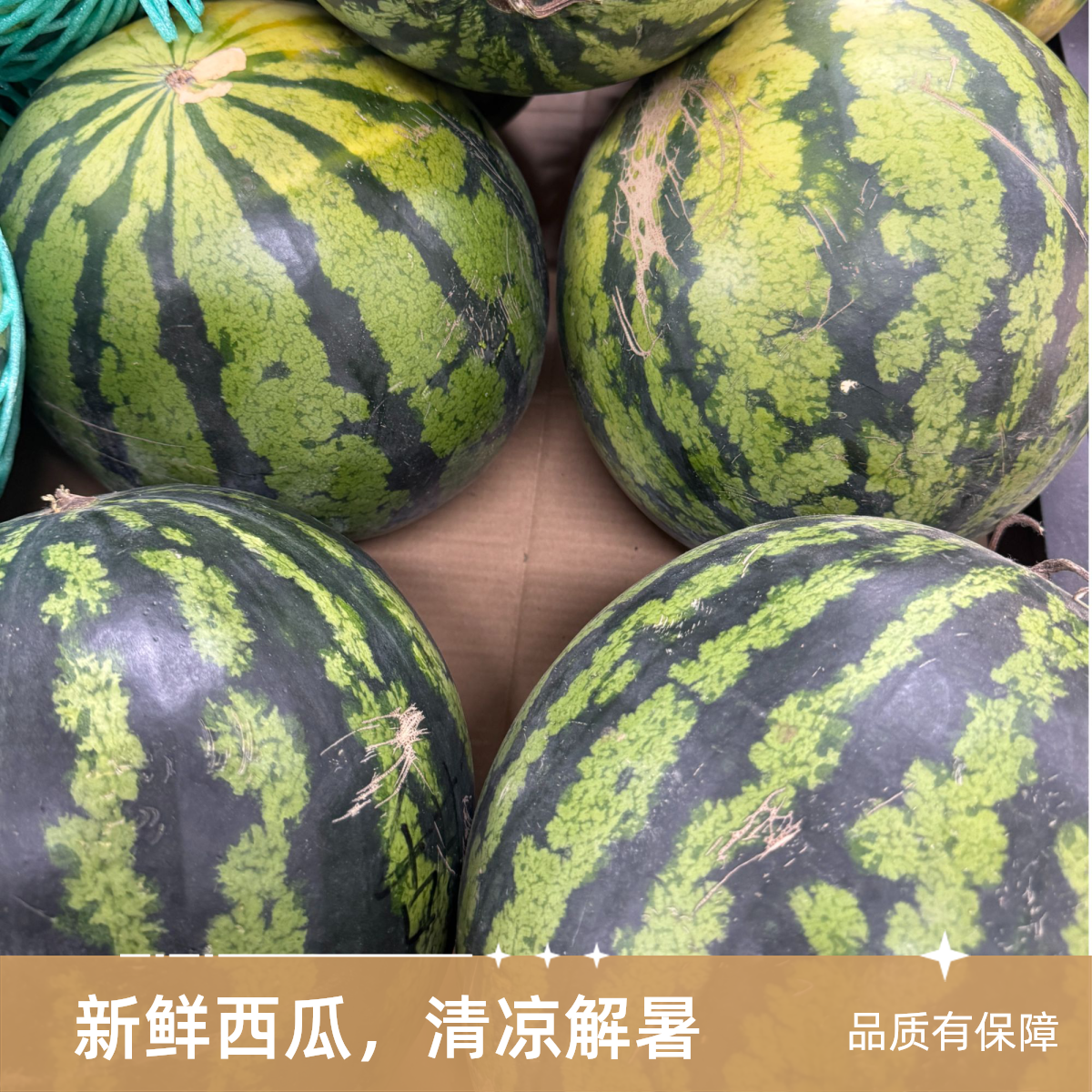 【松州园果益农】甜王西瓜  一半约8斤云南省