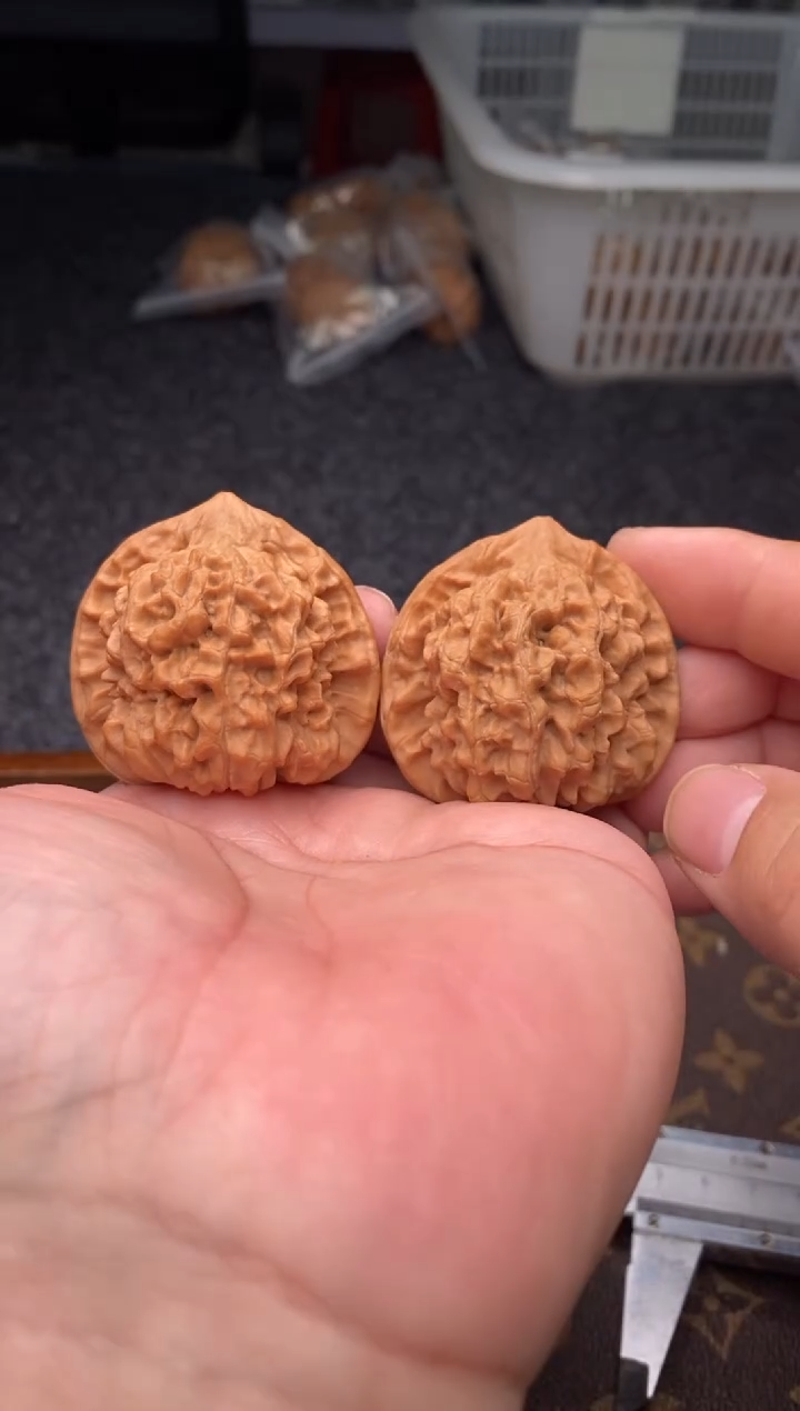 把件文玩核桃b200号48尺官帽