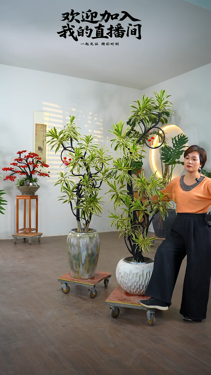 无花朵小****船857485485485