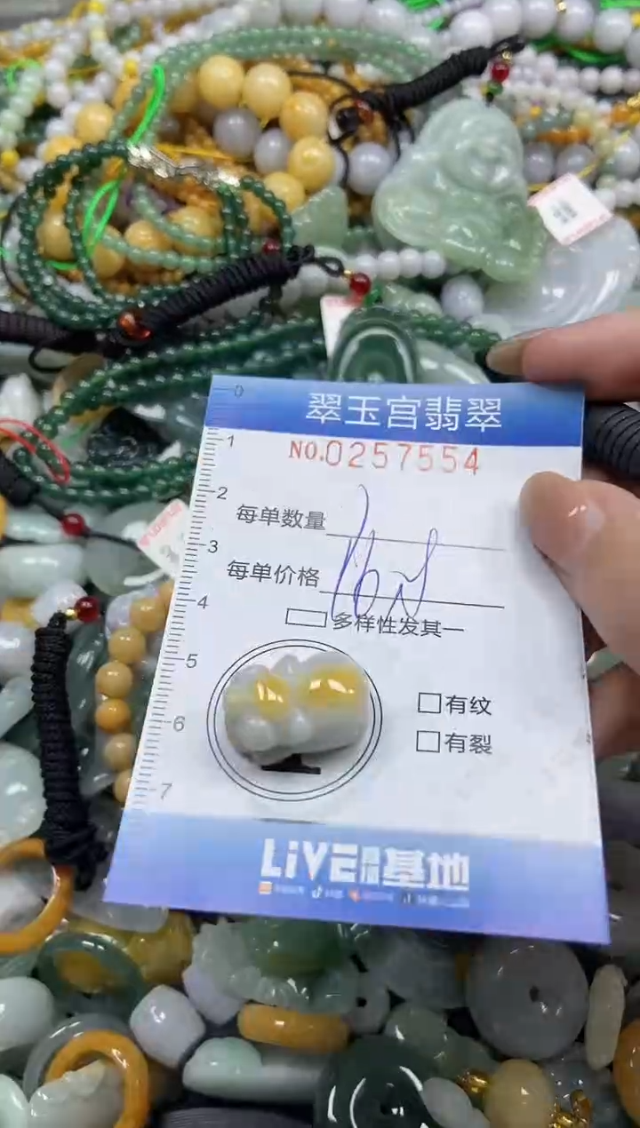 颈饰未镶嵌翡翠闪购C0257554