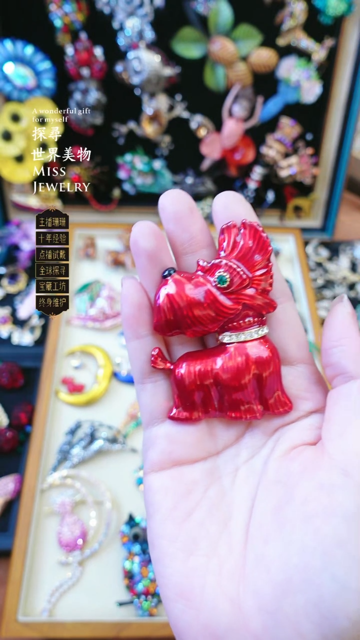 大小姐直播间bw胸针