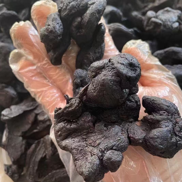 广东河源客家九蒸九晒八年山货野生货250g/500g包邮