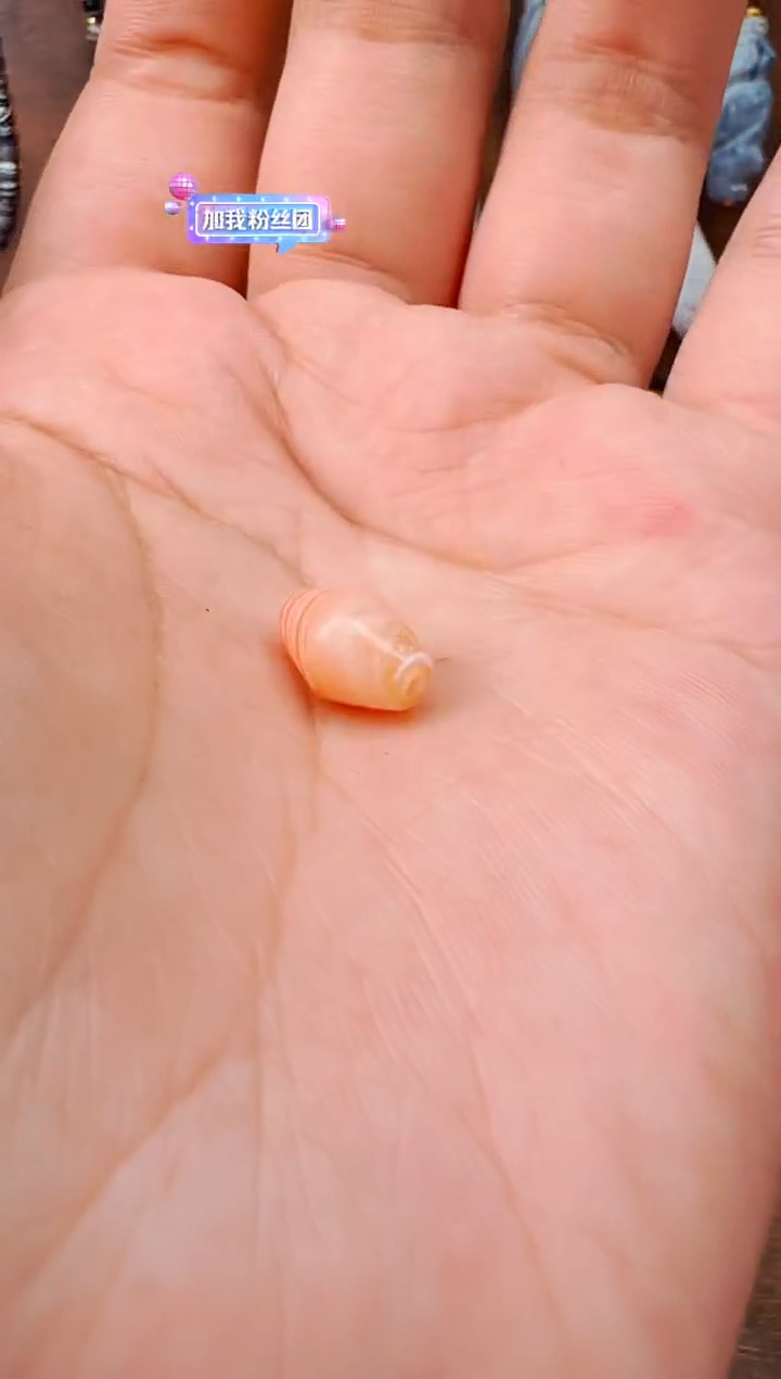 【东南亚珠饰】配珠