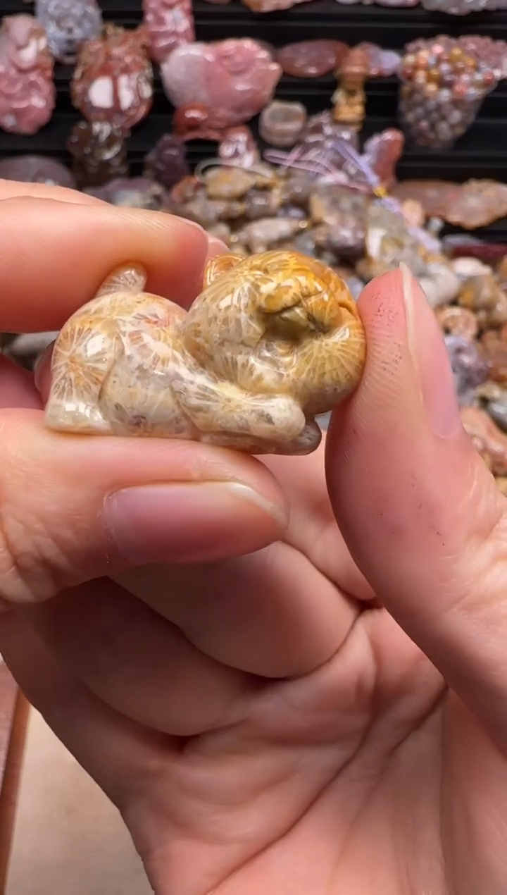 【闪购商品】硅化珊瑚（珊瑚玉）颈饰未镶嵌061