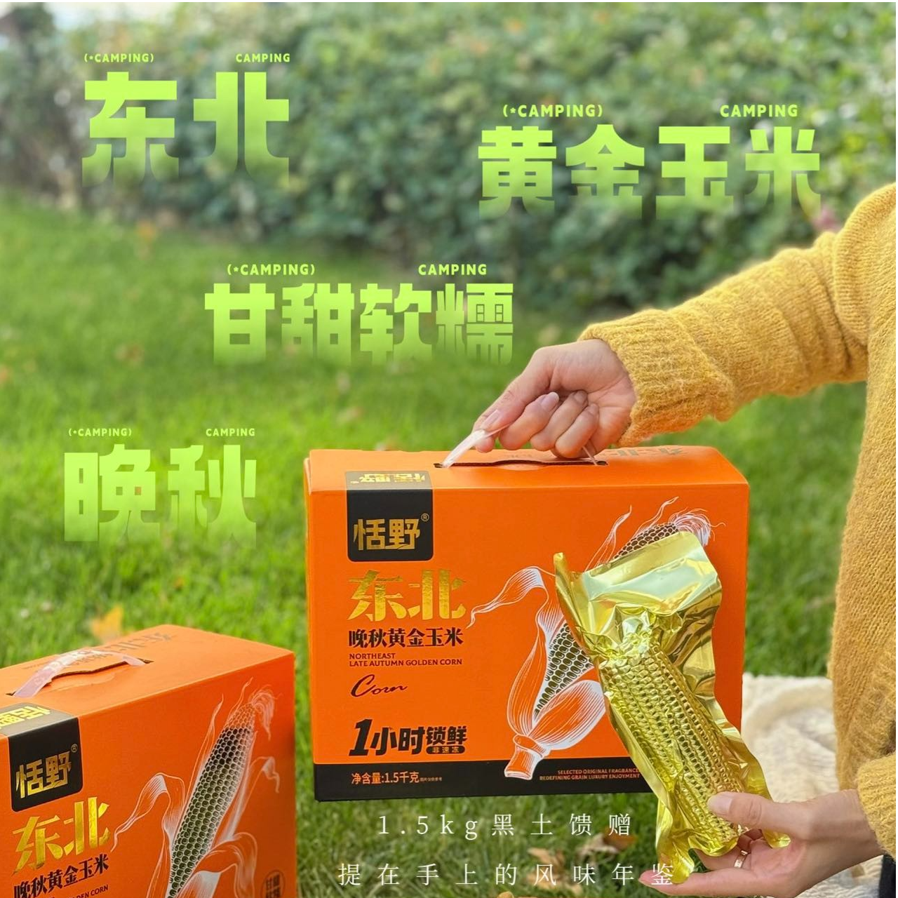 恬野头茬东北黄糯玉米富含叶酸软糯香甜真空铝箔包装粗粮代餐