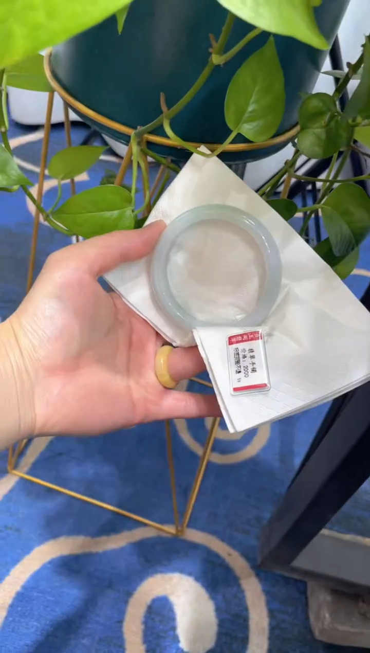 未镶嵌手镯翡翠00006031