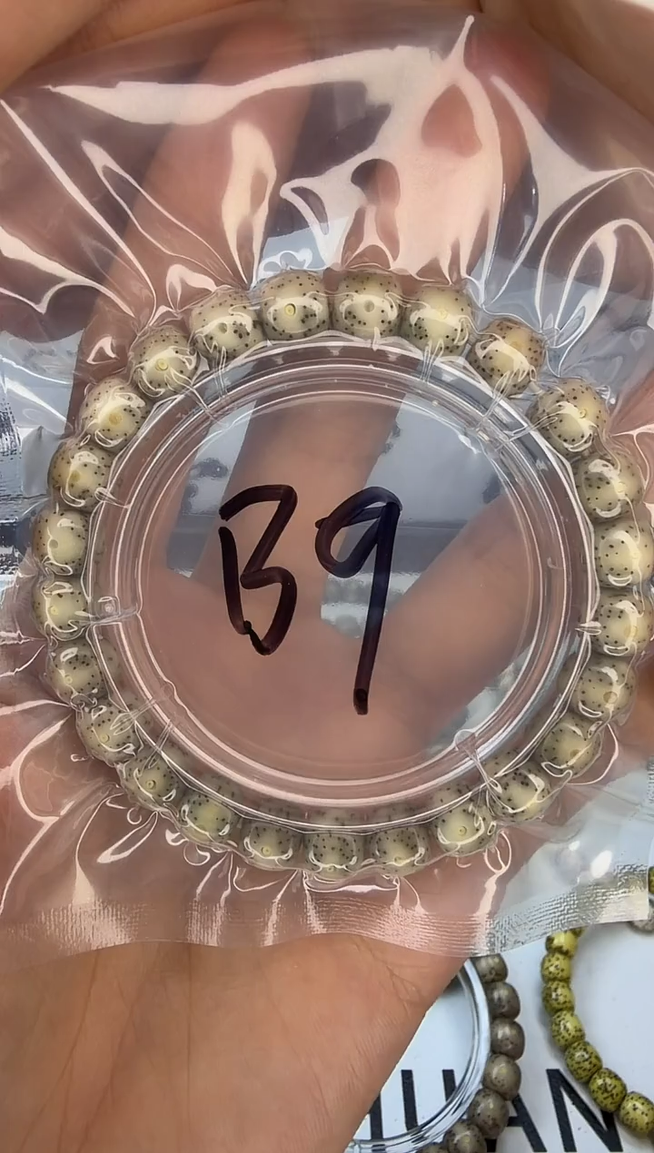 手串星月菩提9/8 奶奶灰 针尖星 同枝果 小高货