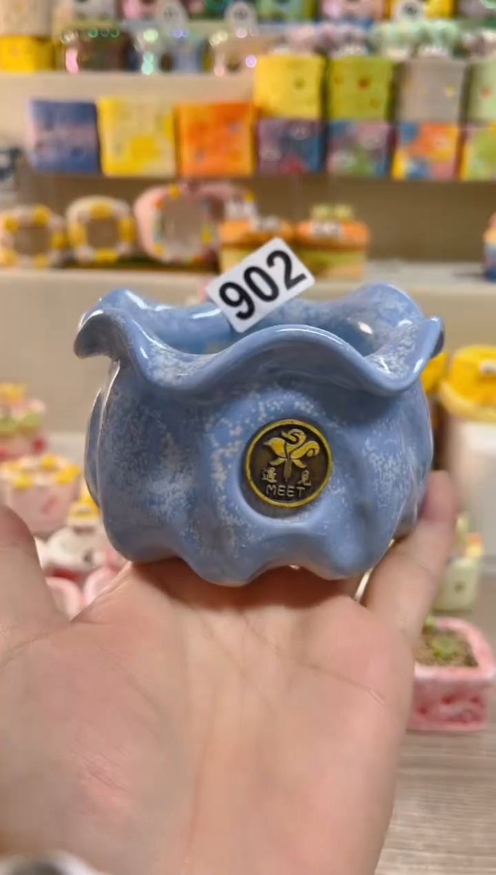 【闪购商品】陶瓷902     内口6.5左右