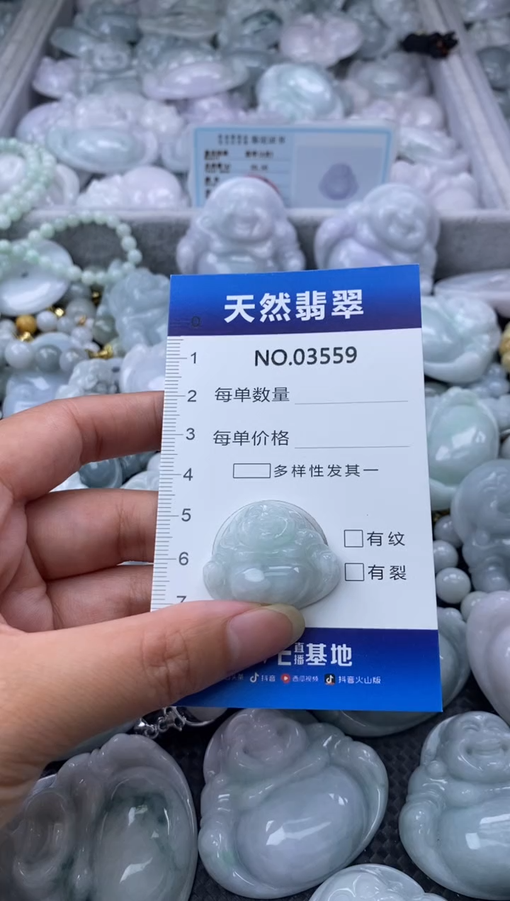 翡翠未镶嵌颈饰缅甸A货翡翠03559
