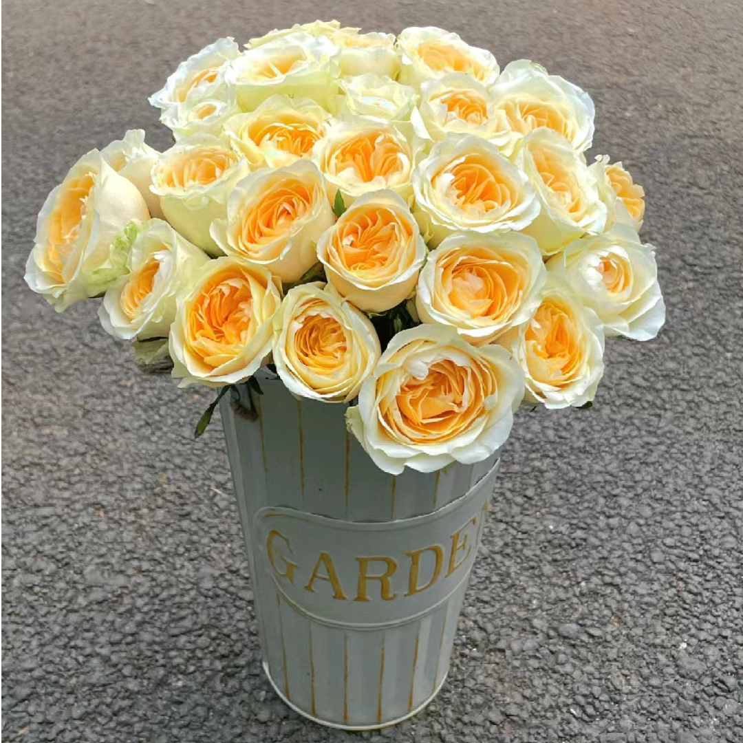 【香羿鲜花】奶油杯玫瑰10支/全场任意满两单及以上包邮