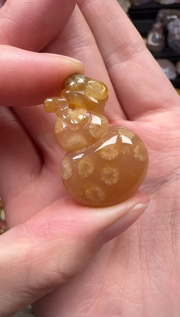 颈饰未镶嵌硅化珊瑚（珊瑚玉）396