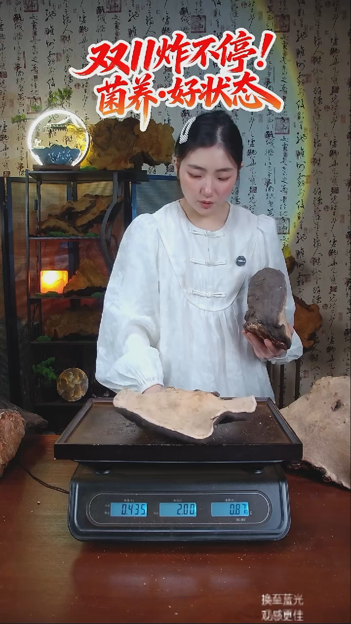 红缘拟层孔菌中国大陆【藏区 野生】红缘树舌（0.87斤）10年份