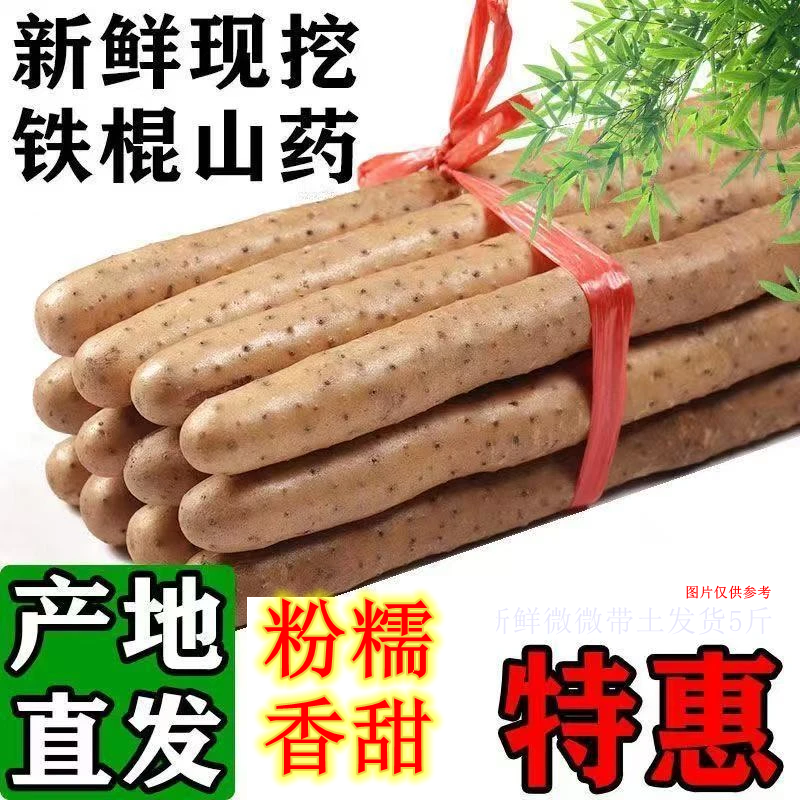 【助农补贴】铁棍山药带箱五斤软糯香甜营养美味生鲜微土30-40厘米