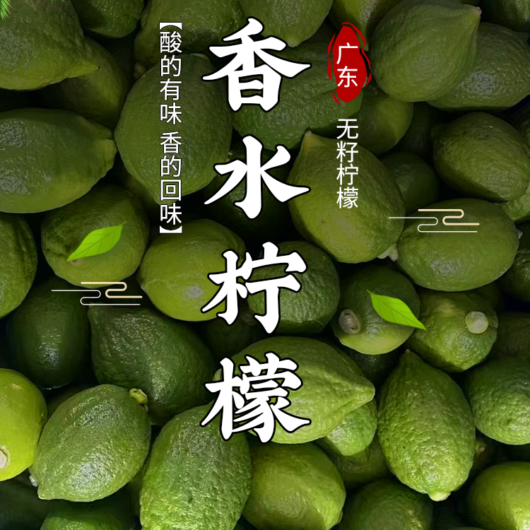 广东香水柠檬二级果无籽四季青柠檬茶饮摊奶茶店专用原产地水果