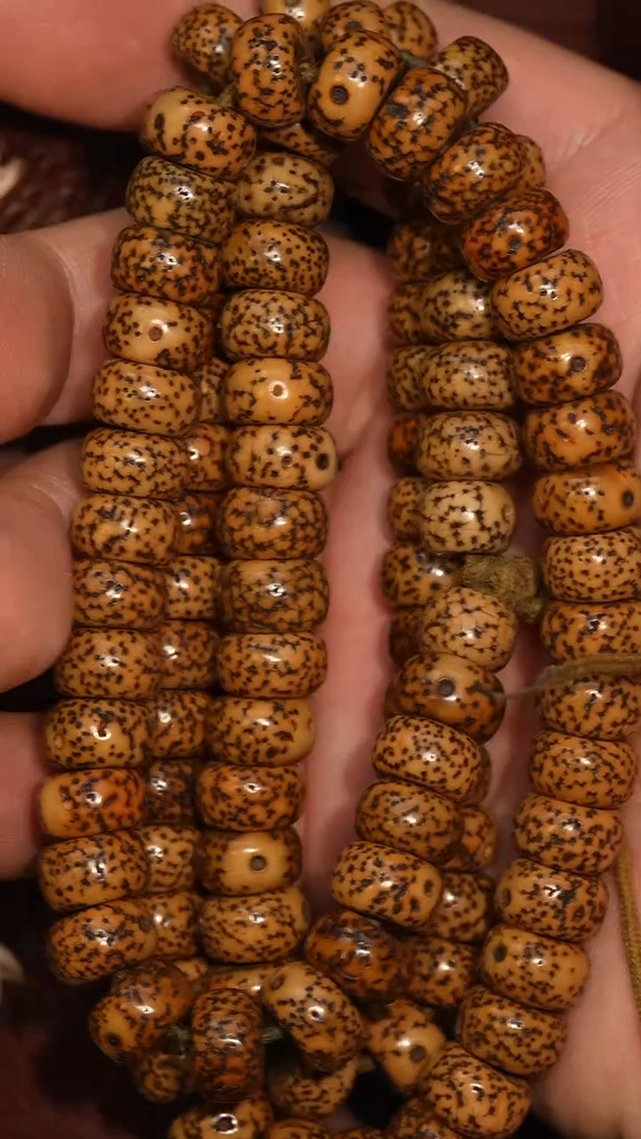 冲赛康胡子哥，藏传念珠220