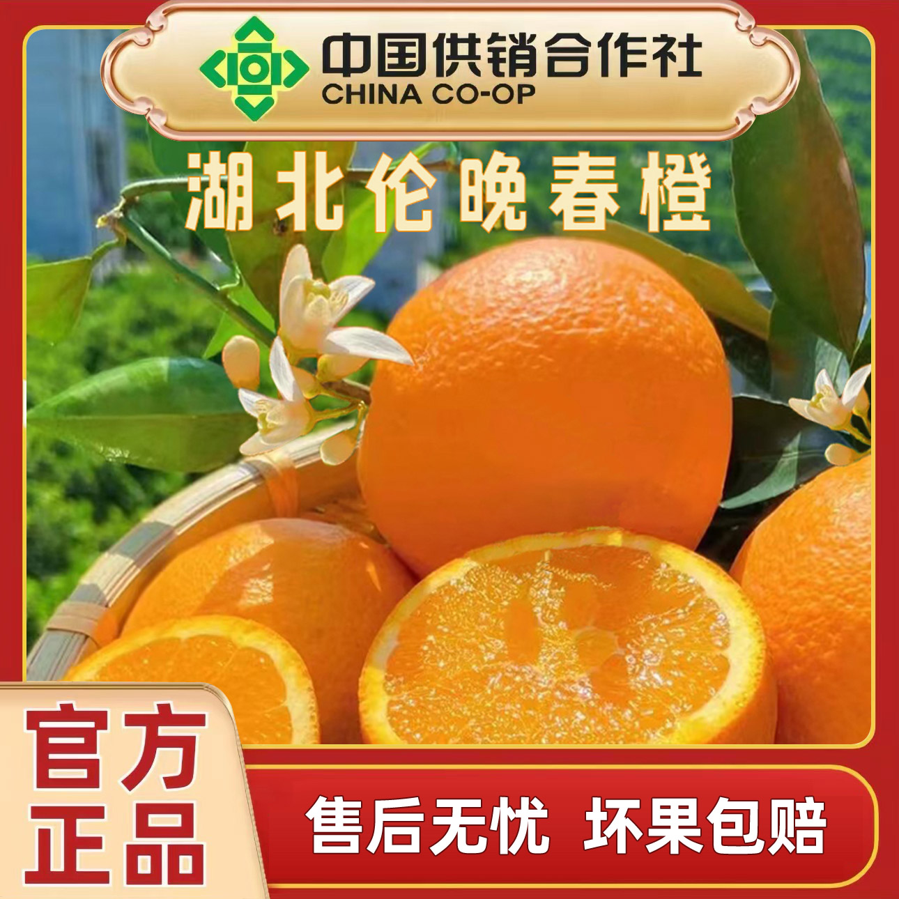 【溯源专场】秭归伦晚春橙4.5斤新鲜应季水果现摘现发口感棒水果