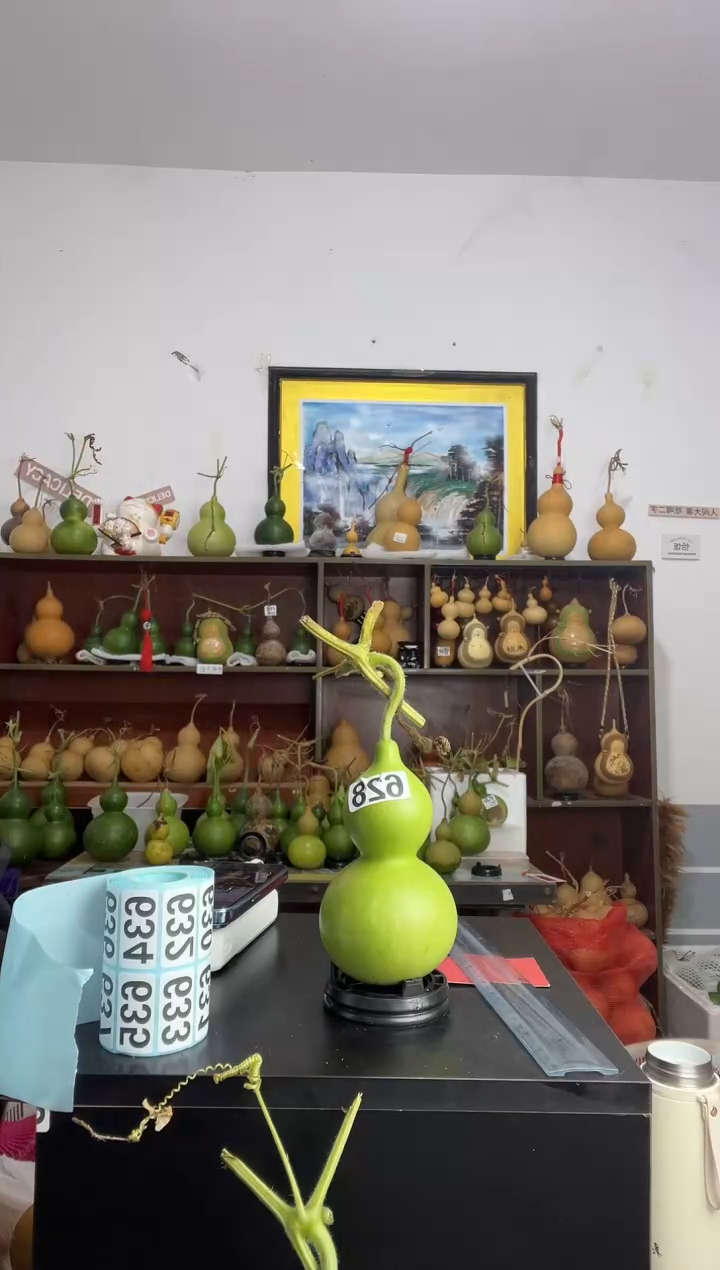 纳*628天然葫芦摆件 一物一拍龙头不保售后