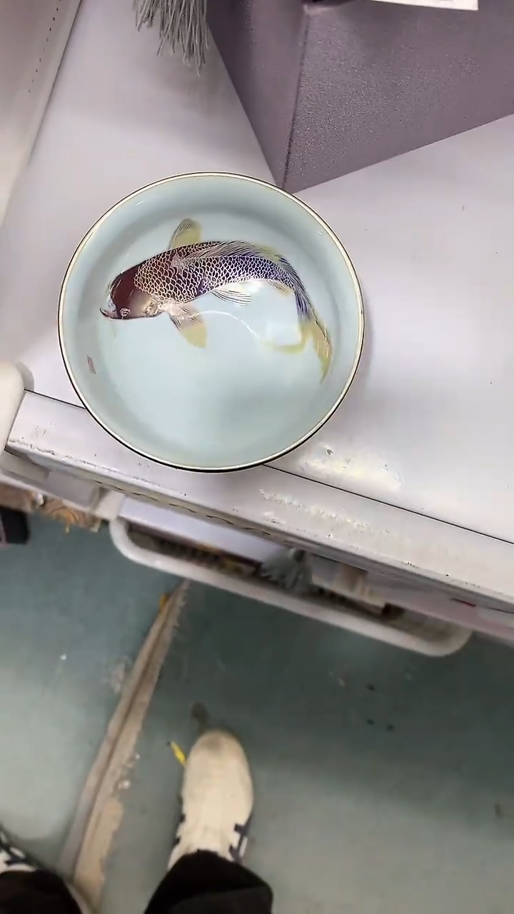 【闪购商品】瓷片陶瓷茶器福利100