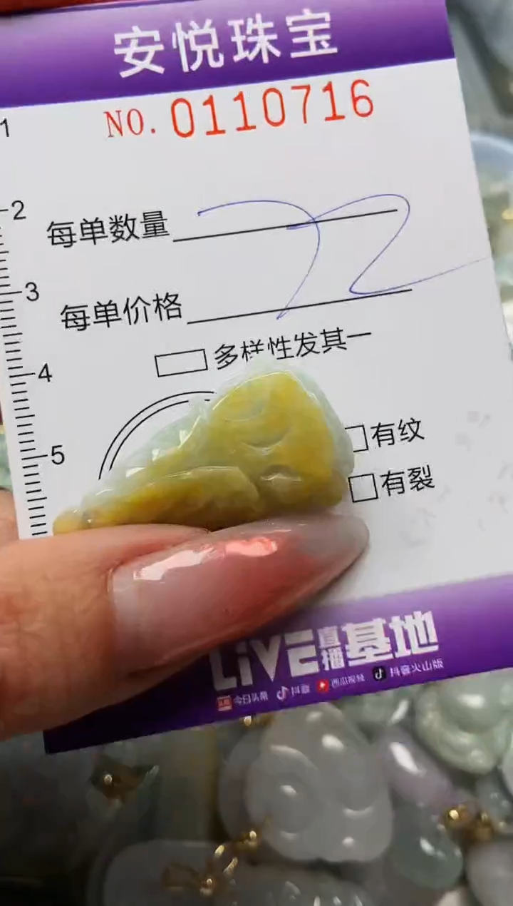 【闪购商品】翡翠颈饰未镶嵌闪购0110716