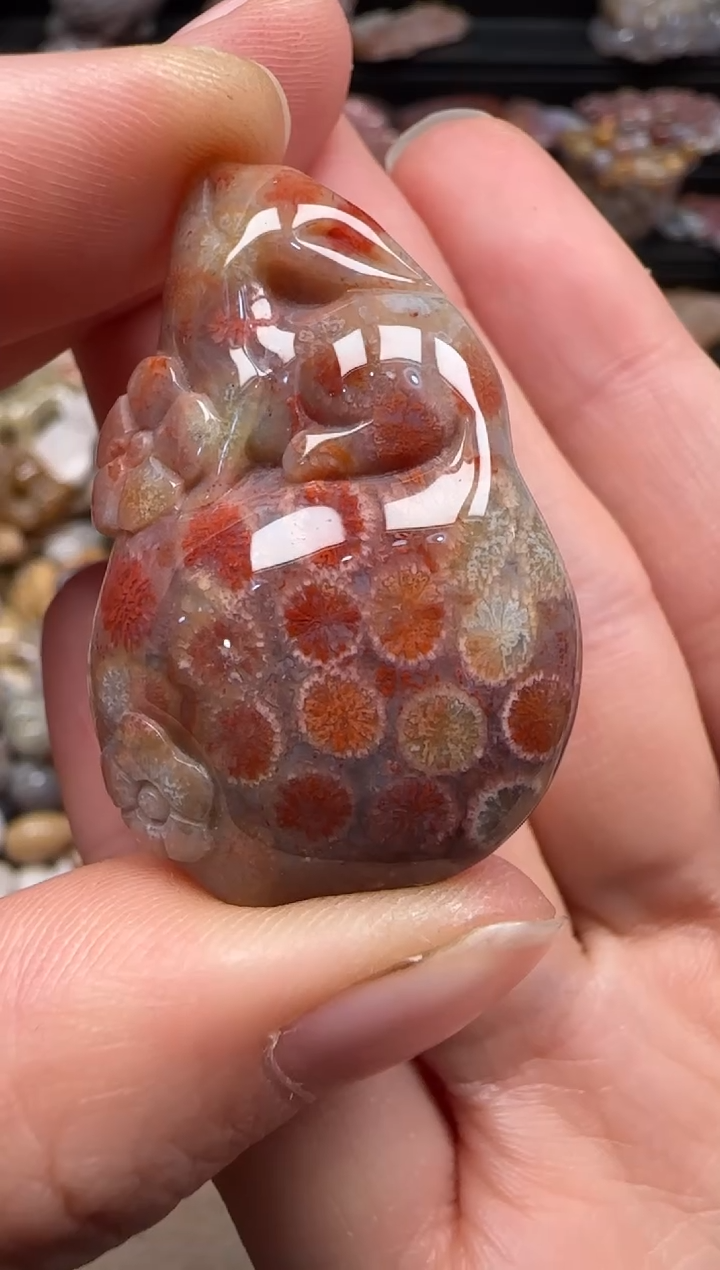 【闪购商品】硅化珊瑚（珊瑚玉）颈饰未镶嵌753