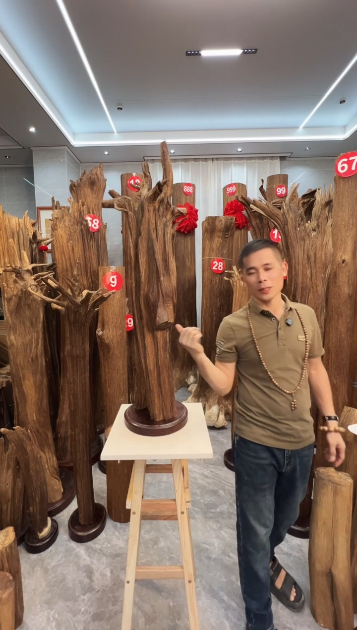 沉香摆件老*杨沉香原料