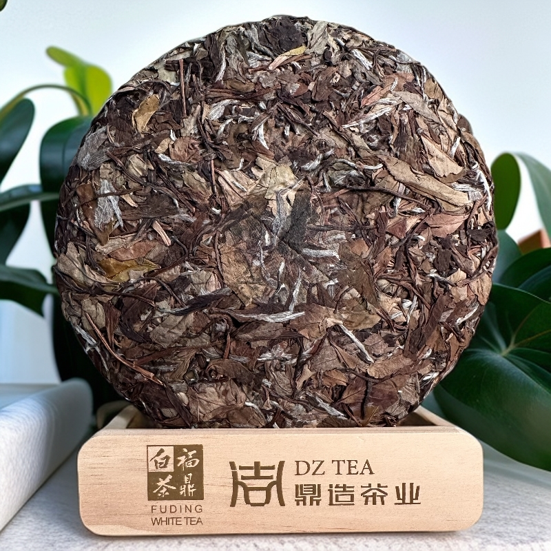 【觅林】2019年福鼎白茶白牡丹饼茶磻溪高山毫香蜜韵老白茶