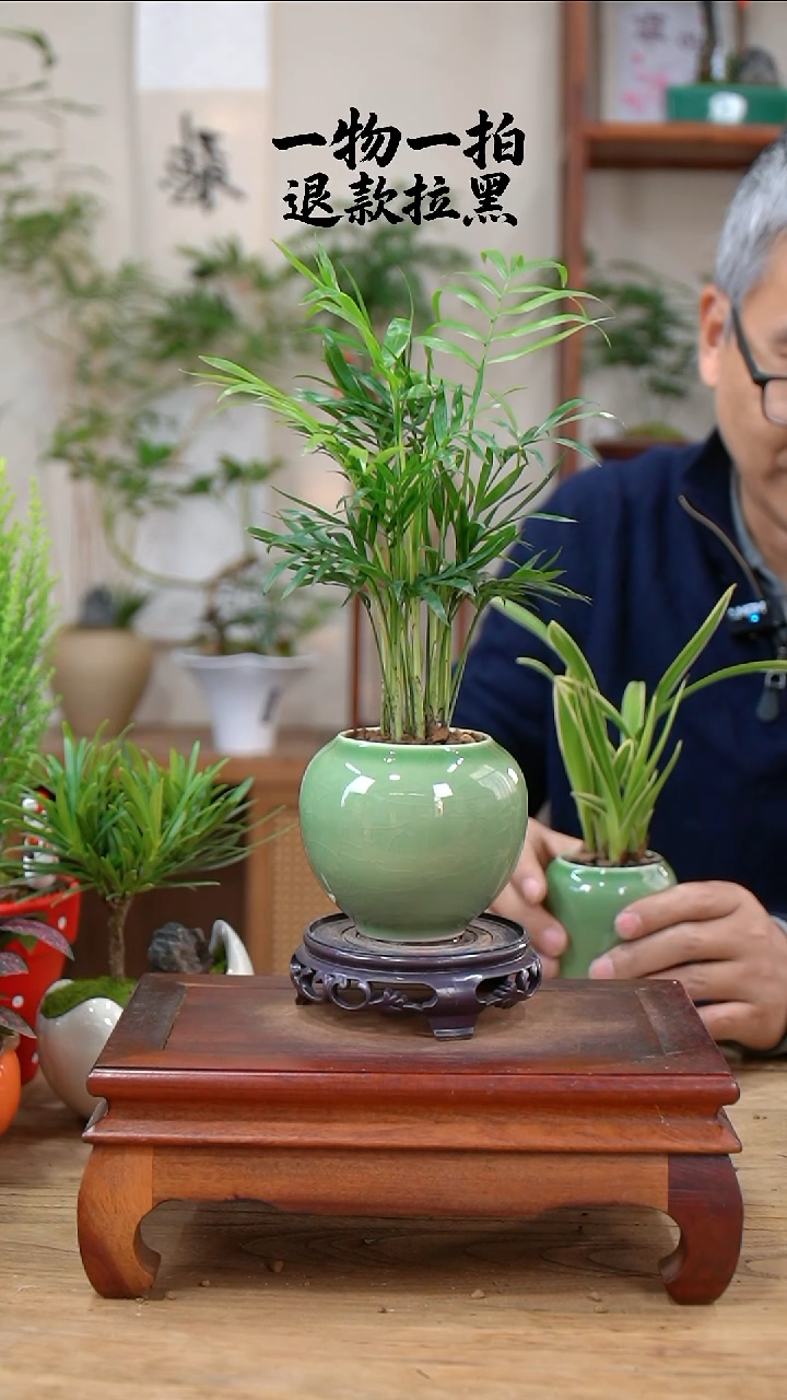 完全开放阳**觉椰子355