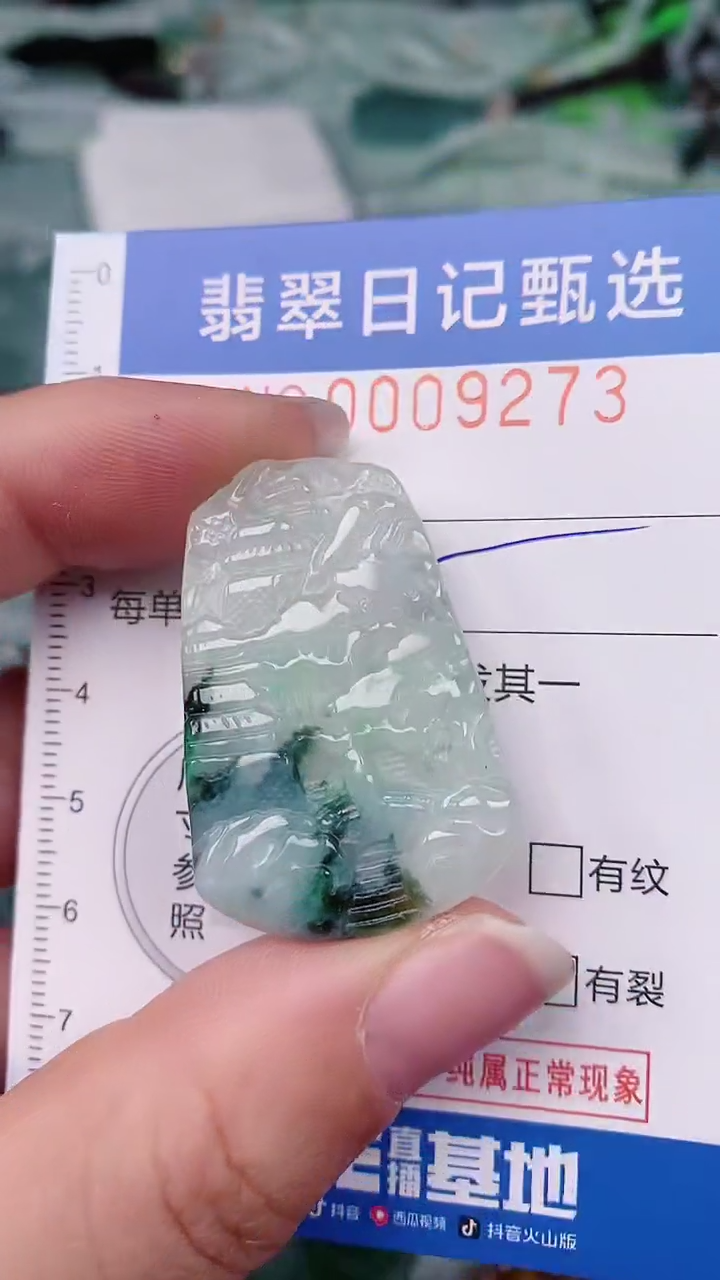 【闪购商品】翡翠颈饰未镶嵌00009273