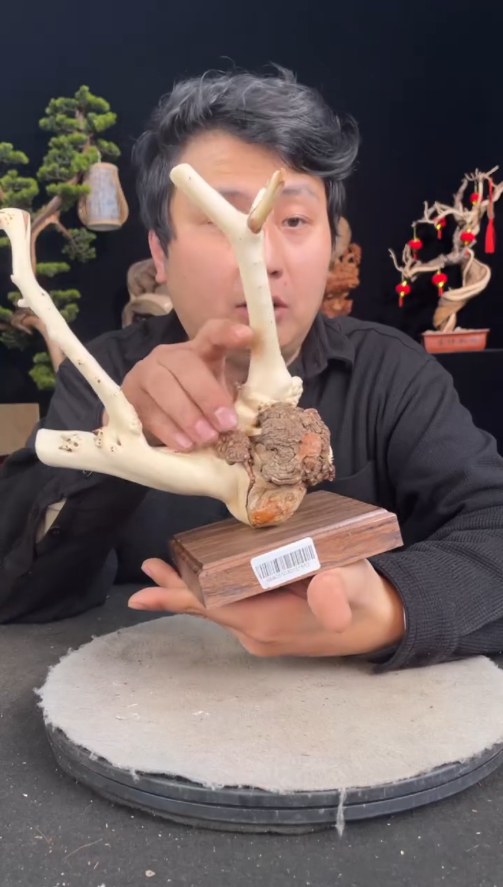 【闪购商品】柏木（崖柏）其他手工摆件,先抢先得!