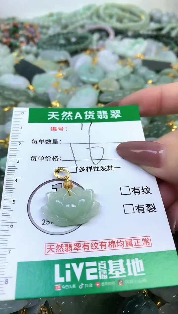 颈饰未镶嵌翡翠纯天然缅甸A货翡翠